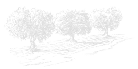 250205 web SHL digital