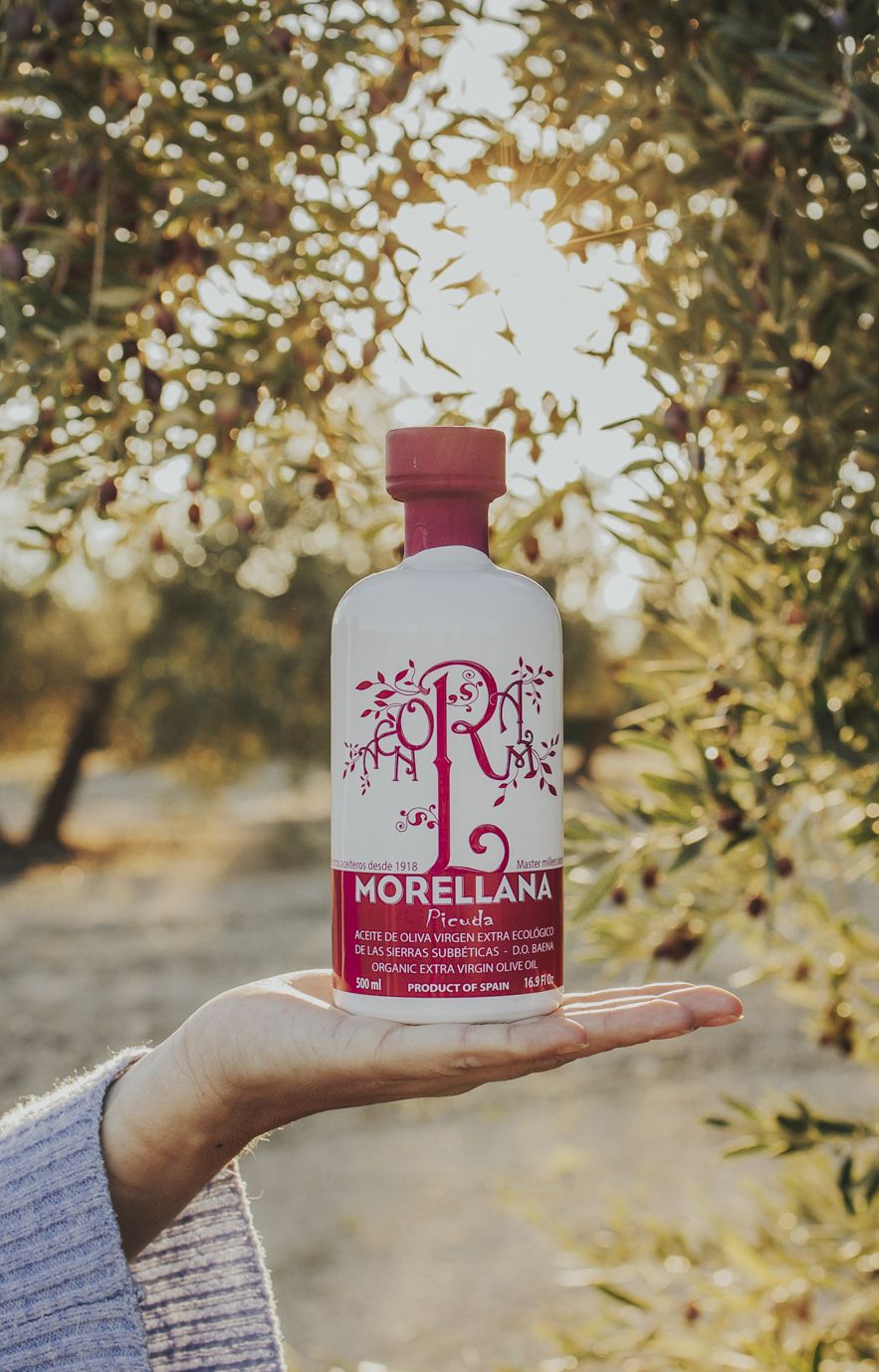 PRODUCTOS_LOPEZ_EXTERIOR_5 copy