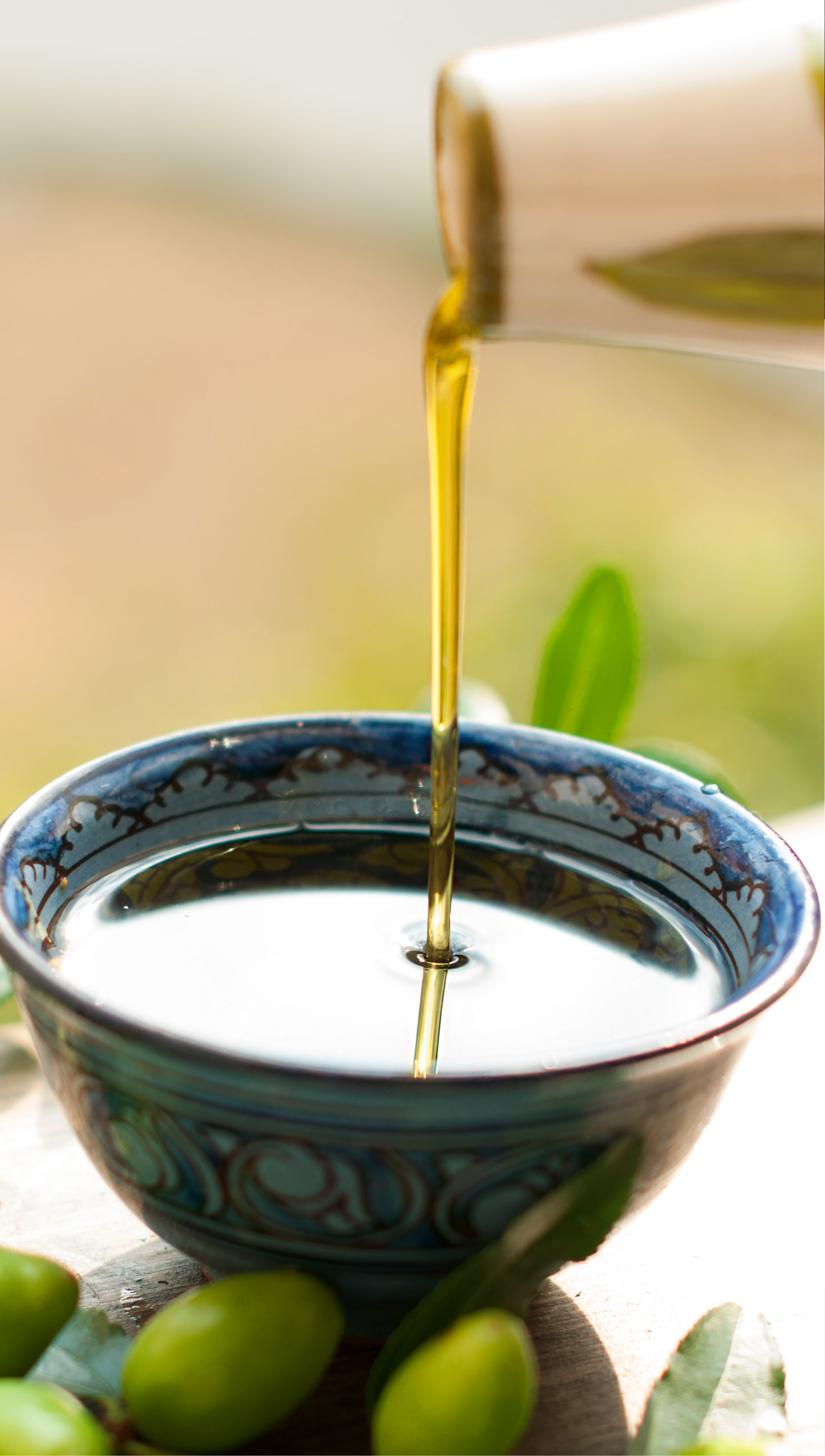 250311 web SHL_PARTE4 experiencias-1 copy